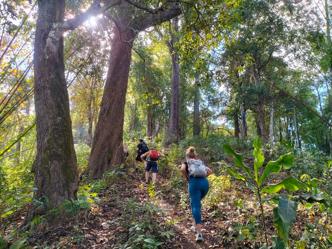 trekking