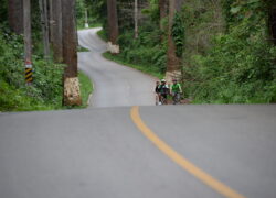 Cycling
