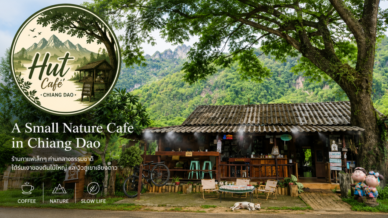 Hut Cafe’ in Chiang Dao surrounded by nature and mountain views under a large tree in Northern Thailand