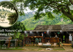 Hut Cafe’ in Chiang Dao surrounded by nature and mountain views under a large tree in Northern Thailand