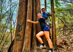 Visitors embracing a giant tree during a hiking tour in Chiang Dao forest, Chiang Mai, Thailand.