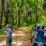 Birdwatchers exploring forest trails during a one-day birding tour in Chiang Dao, Northern Thailand with local bird guide SunTan.