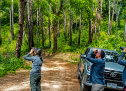Birdwatchers exploring forest trails during a one-day birding tour in Chiang Dao, Northern Thailand with local bird guide SunTan.