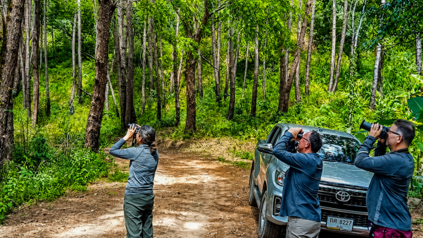 Birdwatchers exploring forest trails during a one-day birding tour in Chiang Dao, Northern Thailand with local bird guide SunTan.
