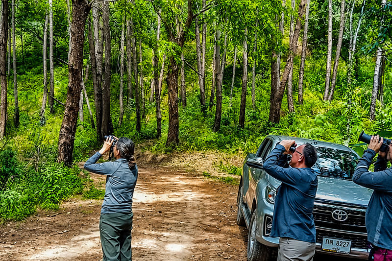 Birdwatchers exploring forest trails during a one-day birding tour in Chiang Dao, Northern Thailand with local bird guide SunTan.