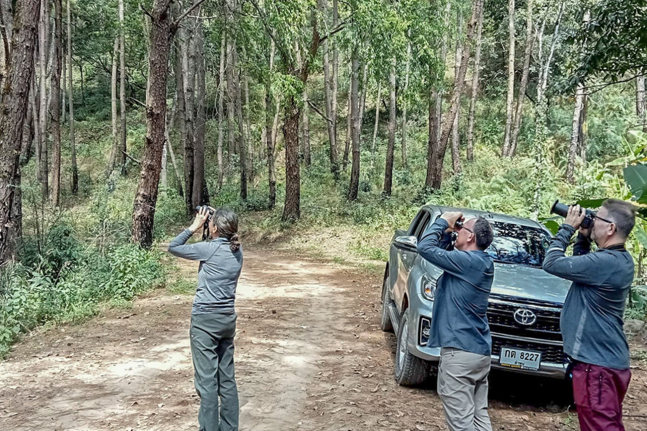 Birdwatchers searching for birds during a one-day birding tour in Chiang Dao, Chiang Mai, Thailand.