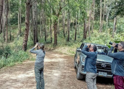 Birdwatchers searching for birds during a one-day birding tour in Chiang Dao, Chiang Mai, Thailand.