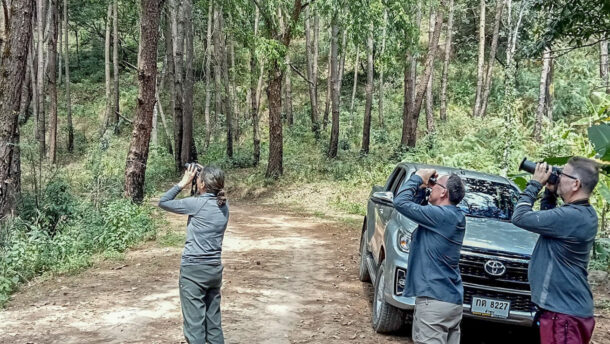 Birdwatchers searching for birds during a one-day birding tour in Chiang Dao, Chiang Mai, Thailand.