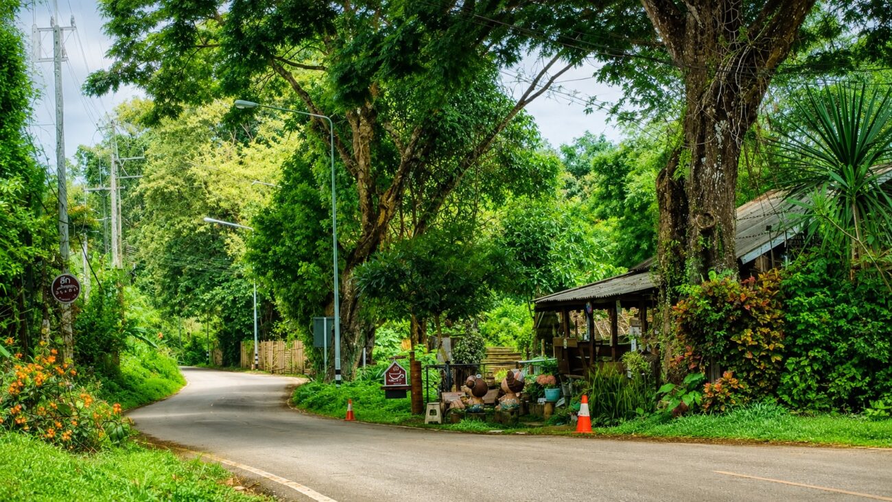 Green natural surroundings and garden at Chiang Dao Hut in Chiang Dao, Northern Thailand