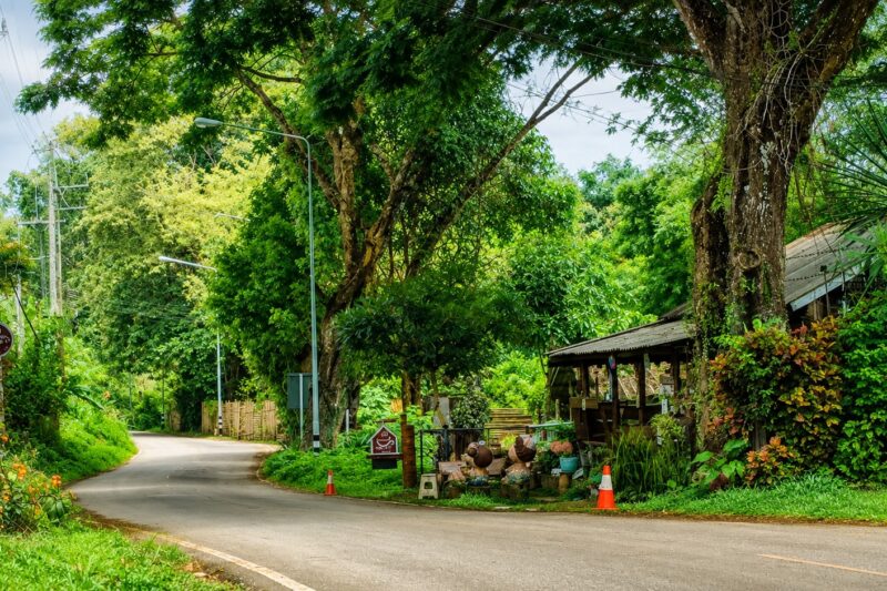 Nature & Garden at Chiang Dao Hut